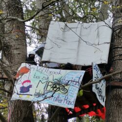 Im Krakengriff der Marine