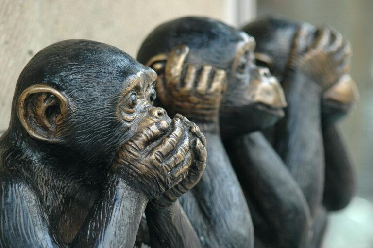 030401 14896658856 0f7b2c43fe o - Staatsorgane unter Artenschutz - Politik - Politik