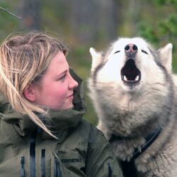 Im Schnee auf den Hund gekommen?