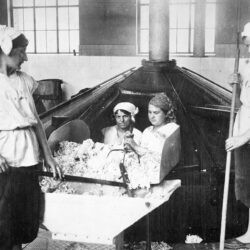 Frauen im Krieg – Frauen gegen Krieg