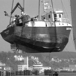 Blind in die Katastrophe