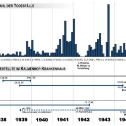 „Euthanasie“ im Taunus
