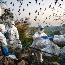 Aufklärung oder „Truth Social“?