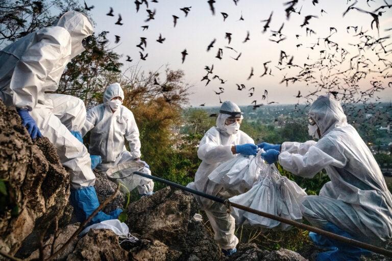 161101 Blame - Aufklärung oder „Truth Social“? - VR China - VR China