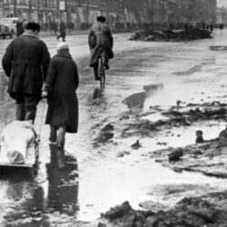 „Meine Lebenskarten gehören den Kindern“