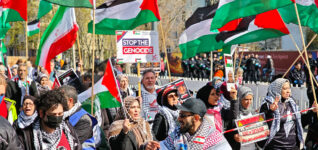 Wider Hilflosigkeit und Gewöhnung