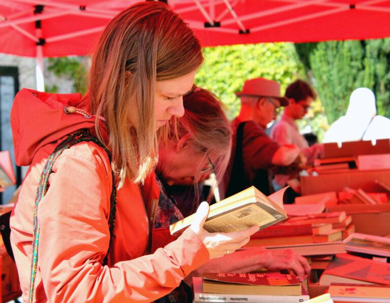 2616 03 - Aus Liebe zum Verstehen - Literatur - Literatur