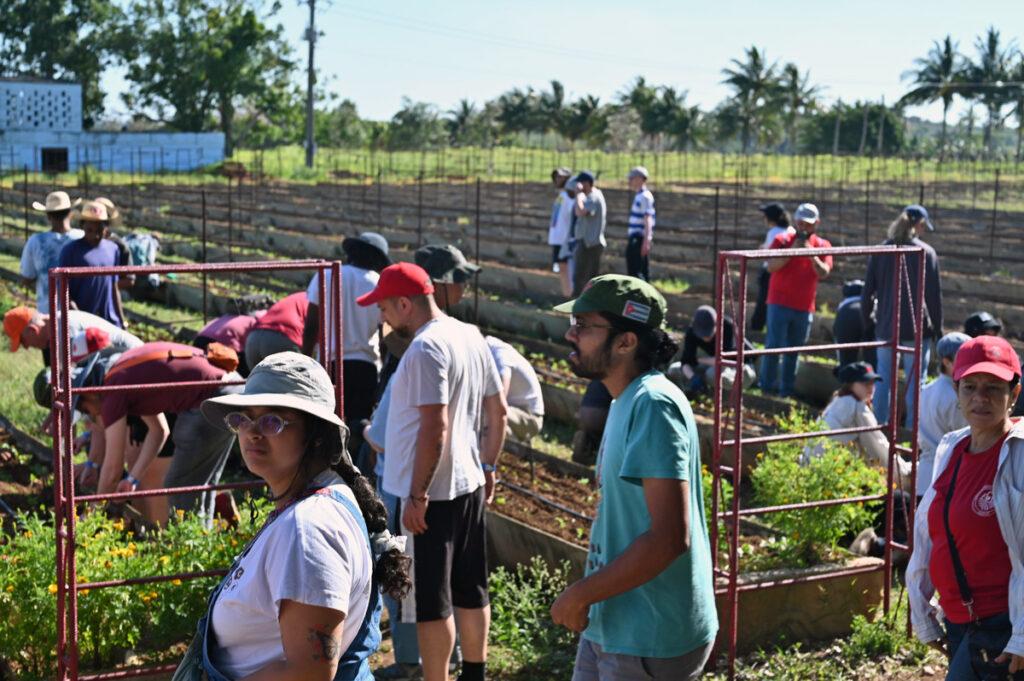 Kuba Landwirtschaft 3 - Cuba no está sola – Kuba ist nicht allein! - 19. Internationale 1.-Mai-Brigade José Martí, DKP, Kuba, Kuba-Solidarität - Blog, Hintergrund