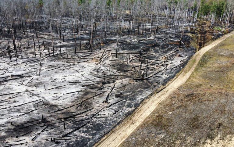 230619 Waldbrand bei L btheen gel scht2 - Wo die Feuerwehr nicht löschen darf - Gohrischheide - Gohrischheide
